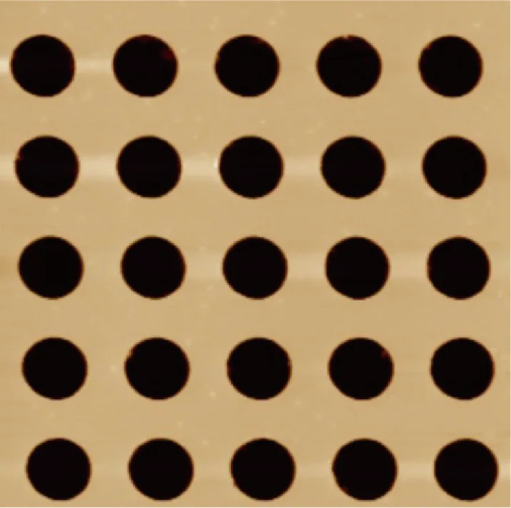 Grid reference sample — topography mode 25×25 μm