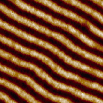 Fe-Ni film magnetic domains · MFM lift