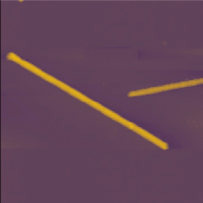 SiC whisker · Tapping mode