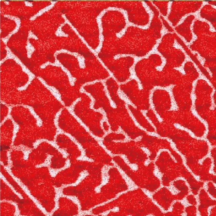 Co/Fe/B magnetic thin film — MFM mode 25×25 μm