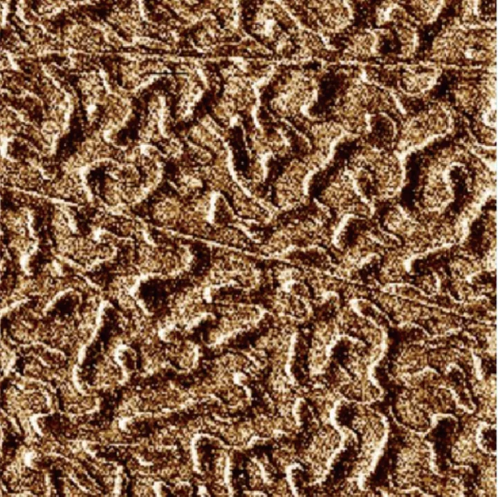 Co/Pt magnetic thin film — MFM mode 30×30 μm