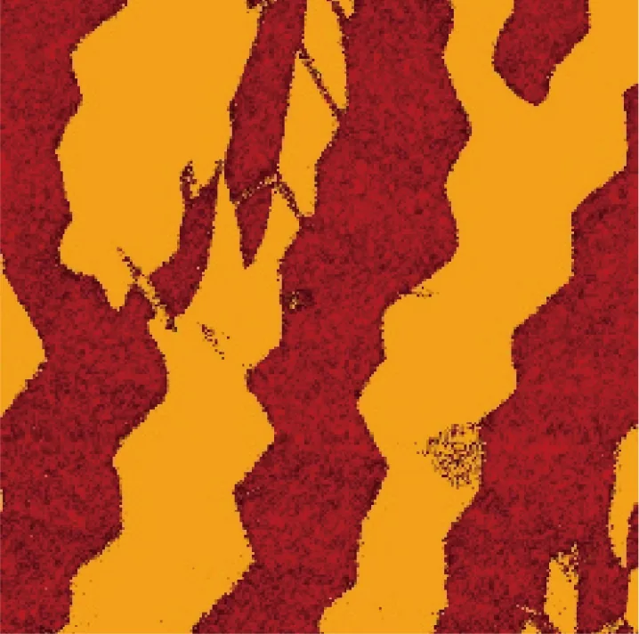 PbTiO₃–PMN ferroelectric domains — PFM mode 10×10 μm