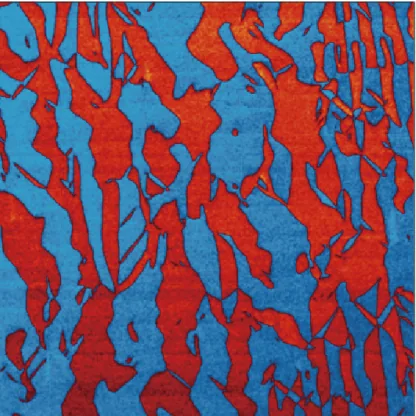 PbTiO₃ · PFM 接触模式