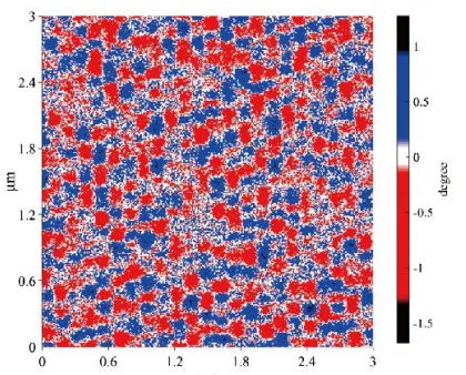 AtomExplorer AFM scan — hard-disk magnetic domains MFM 5×5 μm