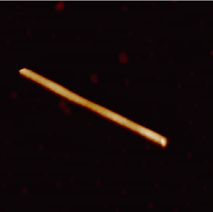 Al₂O₃ whisker — tapping mode 15×15 μm