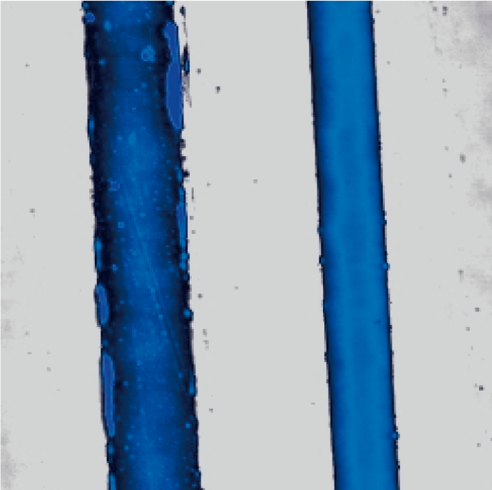 Au-Ti strip electrode topography — tapping mode 18×18 μm