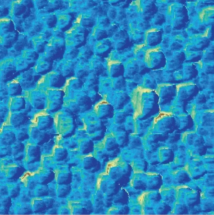 BiVO₄ thin film — EFM mode 5×5 μm